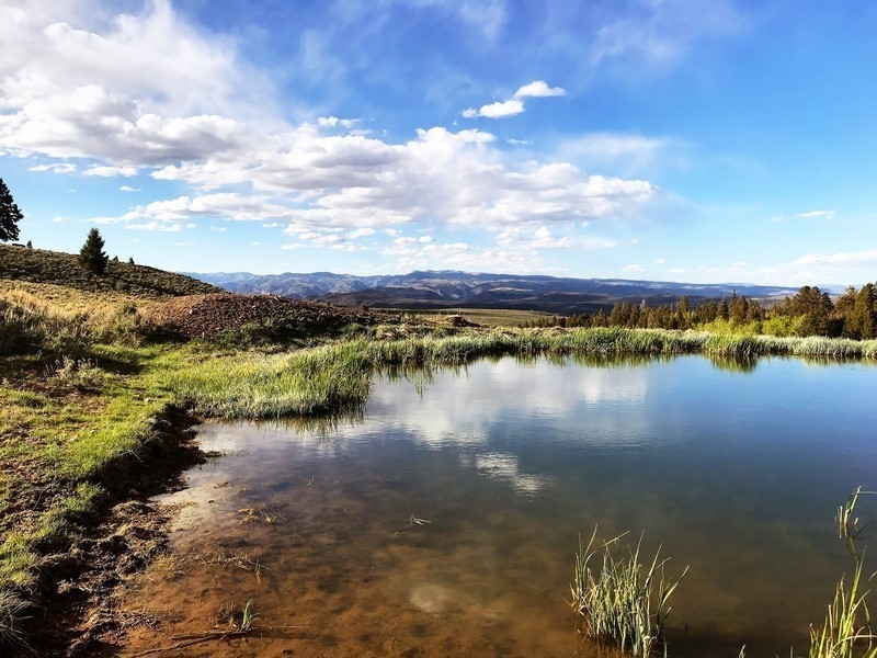 Triple R Ranch featured image