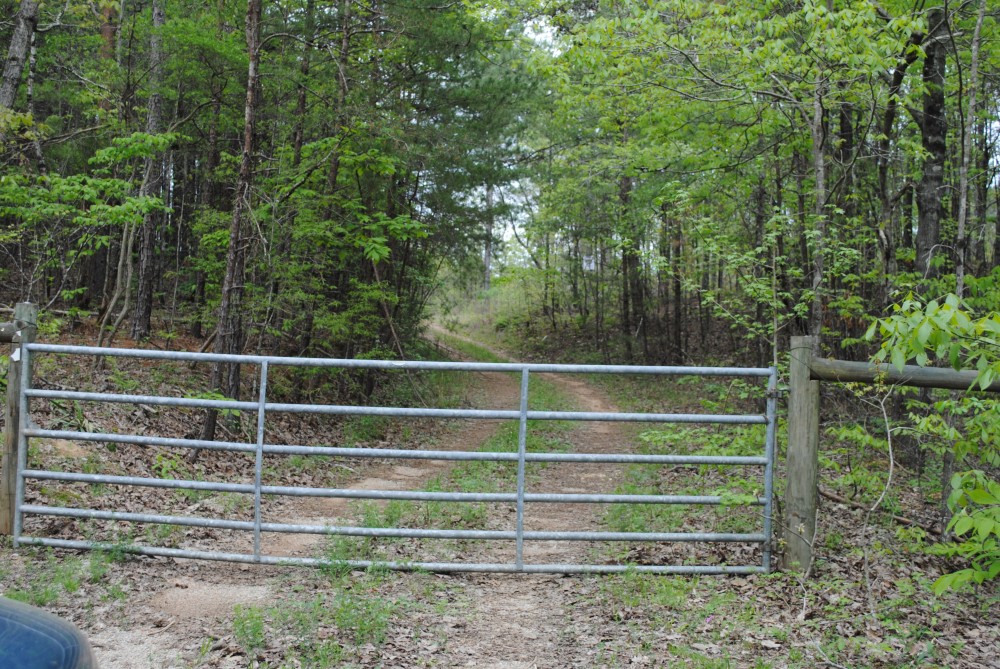 Chilton County Timber Tract featured image