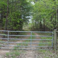 Chilton County Timber Tract