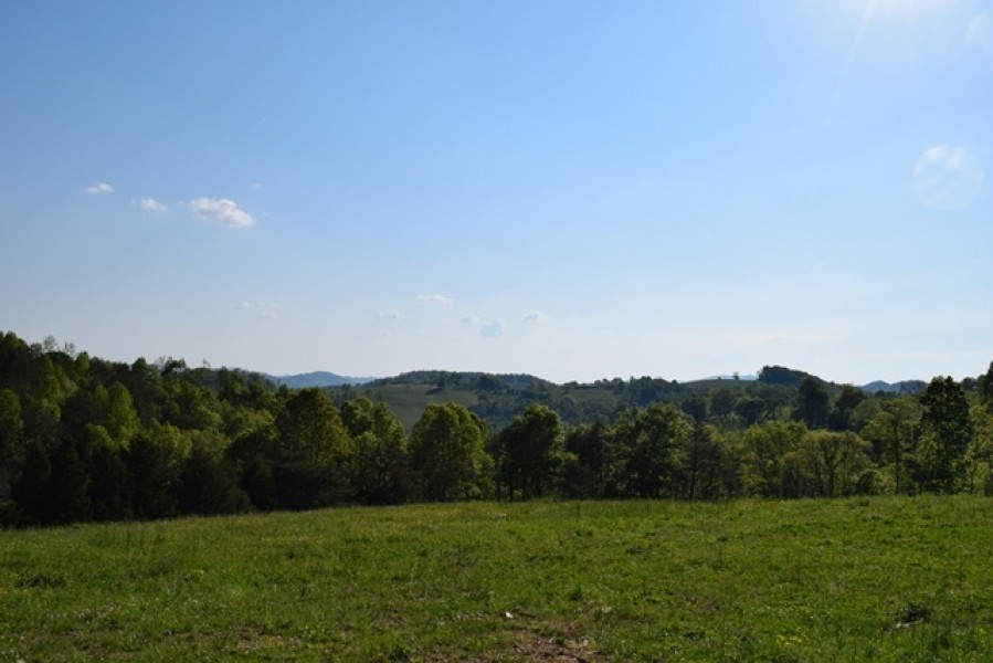 EAST TN LAND FOR SALE CLAIBORNE COUNTY  TAZEWELL TENN 37879 featured image