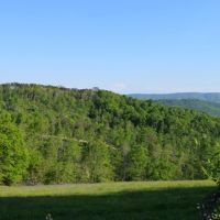 EAST TN LAND FOR SALE CLAIBORNE COUNTY  TAZEWELL TENN 37879 images 2