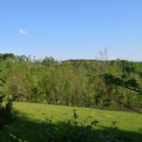 EAST TN LAND FOR SALE CLAIBORNE COUNTY  TAZEWELL TENN 37879 images 3