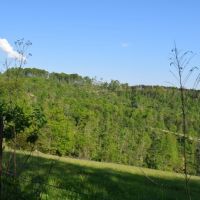 EAST TN LAND FOR SALE CLAIBORNE COUNTY  TAZEWELL TENN 37879 images 5