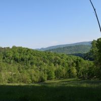 EAST TN LAND FOR SALE CLAIBORNE COUNTY  TAZEWELL TENN 37879 images 6