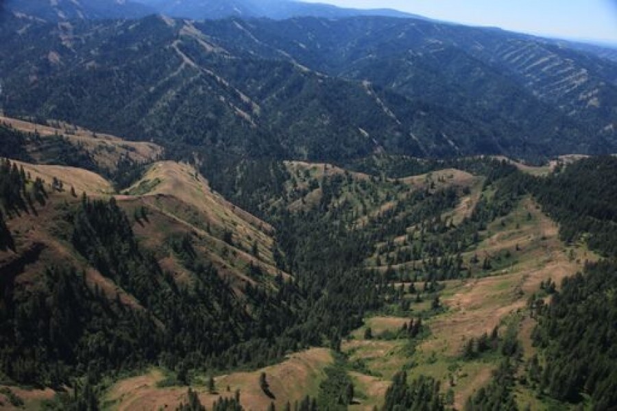Umatilla River Mountain Property featured image