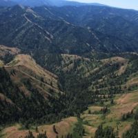 Umatilla River Mountain Property