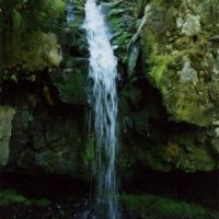 Umatilla River Mountain Property images 2