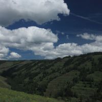 Umatilla River Mountain Property images 3
