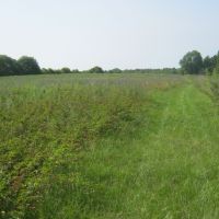 Othaney Simmons Rd. Franklinton  La. images 2