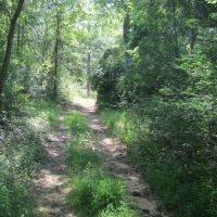 Othaney Simmons Rd. Franklinton  La. images 5