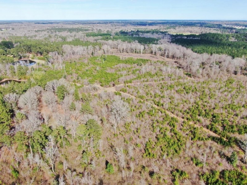 80 Acres Land for Sale Brookhaven  Lincoln County  MS featured image