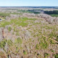 80 Acres Land for Sale Brookhaven  Lincoln County  MS
