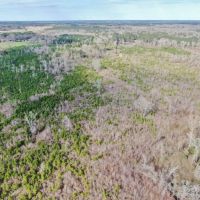 80 Acres Land for Sale Brookhaven  Lincoln County  MS images 2