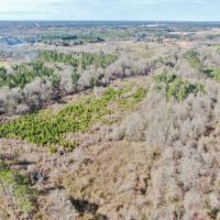 80 Acres Land for Sale Brookhaven  Lincoln County  MS images 4