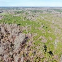 80 Acres Land for Sale Brookhaven  Lincoln County  MS images 5