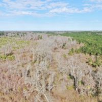 80 Acres Land for Sale Brookhaven  Lincoln County  MS images 6