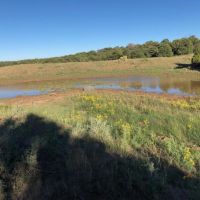 160 Acres TBD CR 530 images 4