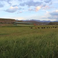 Bull Creek Ranch images 5