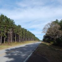 207 acre -Hunting &nbsp; Investment images 2