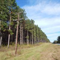 207 acre -Hunting &nbsp; Investment images 3