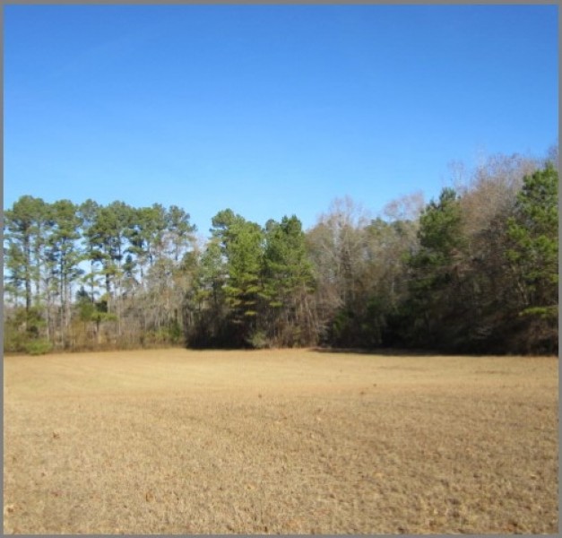 19.2 Acres Lafayette County in Paris  MS featured image