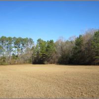 19.2 Acres Lafayette County in Paris  MS
