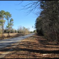 19.2 Acres Lafayette County in Paris  MS images 2