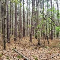 55 Acres in Copiah County in Hazlehurst  MS