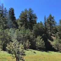 Eagle Canyon Ranch images 6