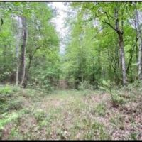 33 Acres in Lawrence County in Silver Creek  MS images 3