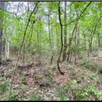 33 Acres in Lawrence County in Silver Creek  MS images 4