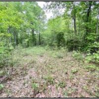 33 Acres in Lawrence County in Silver Creek  MS images 6
