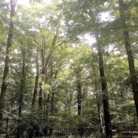 195 Acres in Hinds County in Clinton  MS