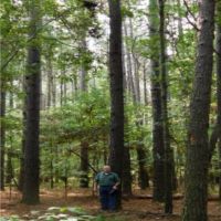 195 Acres in Hinds County in Clinton  MS images 2