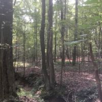 195 Acres in Hinds County in Clinton  MS images 3
