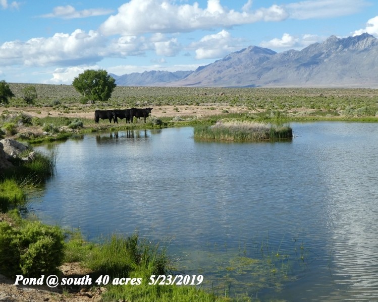 5 Springs Ranch featured image