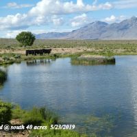 5 Springs Ranch