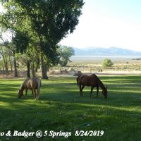 5 Springs Ranch images 4