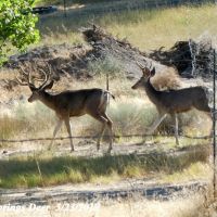 5 Springs Ranch images 6