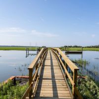 Tombee Plantation images 4