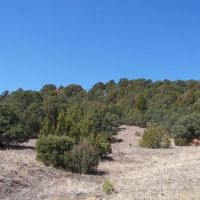 17 Blackhawk Ranch images 5