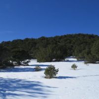 17 Blackhawk Ranch images 6
