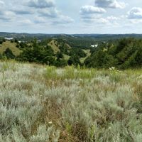 Jeffrey Lake Wildlife Resort images 4