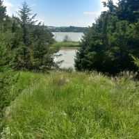 Jeffrey Lake Wildlife Resort images 5