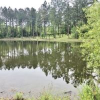 Turnkey Hunting Camp  71 Acres  Magnolia  Pike County  MS