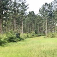 Turnkey Hunting Camp  71 Acres  Magnolia  Pike County  MS images 2