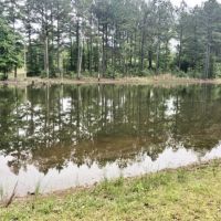 Turnkey Hunting Camp  71 Acres  Magnolia  Pike County  MS images 6