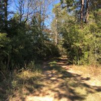 15.3 Acres in Walthall County