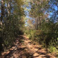 15.3 Acres in Walthall County images 6