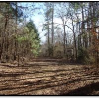 110 Acres in Noxubee County in Macon  MS images 5